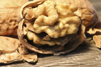 Close-up of walnuts on the table