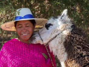 Indigenous woman of the Atacameño minority with llama, Atacama Desert, Chile, South America