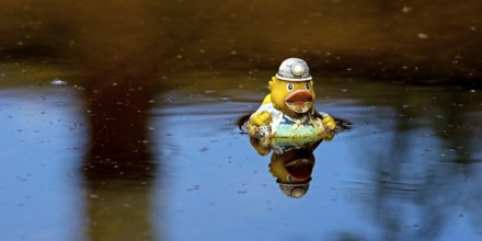 Miner's rubber duck swimming in the sewage basin of the disused Hansa coking plant, Dortmumd, Ruhr