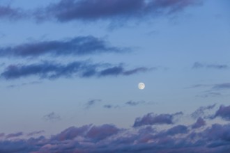 Beautiful dramatic scenic night sky background with moon