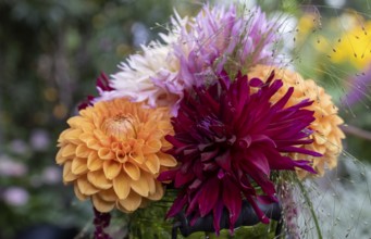 Small bouquet with dahlias in a green vase, Germany, Europe