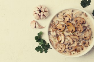 Champignons in creamy garlic sauce, with herbs and spices, gravy, sauce, no people