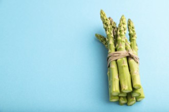 Bunch of fresh green asparagus on blue pastel background. Side view, copy space. harvest, healthy,