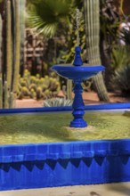 Fountain with water basin in the Majorelle Garden, botany, water, pond, flora, plant, botany,