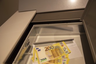 Euro banknotes in a safe deposit box