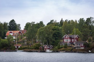 Holiday homes in Scandinavia, forest, nature, holiday home, water, holiday, summer holiday, summer