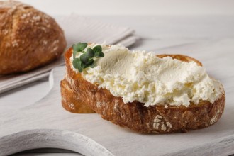 Sandwich, with cream cheese, homemade, on a cutting board, rustic style, no people, selective