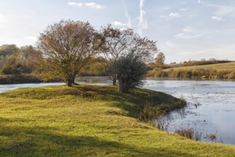 Trees by the river in the evening sun in autumn. Natural landscape