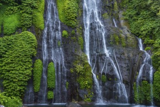 Banyumala twin waterfalls, waterfall, jungle, rainforest, water, nature, botany, holiday, paradise,