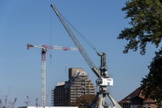 Old silo building, warehouse, in front of it construction crane and harbour crane, Magdeburg Port