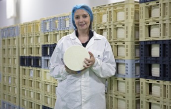 Castilian woman showing a typical Zamora cheese in a cheese factory, cheese stacked in boxes in the