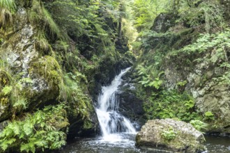 Small Ravenna Falls waterfall in the Ravenna Gorge near Breitnau, Black Forest, Baden-Württemberg,