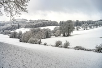 Snowy winter landscape in the Sauerland, Sundern, Hochsauerlandkreis, North Rhine-Westphalia