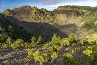 Hoya de Fireba volcano crater, El Hierro, Canary Islands, Spain, Europe