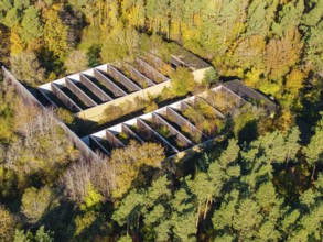 A building surrounded by autumn-coloured forest in a natural environment from a bird's eye view,