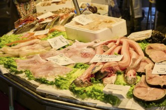 Fresh cought fish for selling on a daily market at 'Mercato di Rialto' town square in Venice,