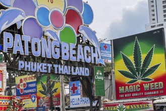 Legalisation of narcotics in Thailand. Cannabis is offered for sale in many places. Bangla Walking