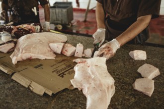 Cutting up a slaughtered dromedary (camelus dromedarius), camel slaughter, Salalah slaughterhouse,