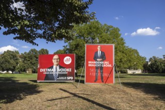 State election in Brandenburg. Election poster of Minister President Dietmar Woidke, SPD, at the