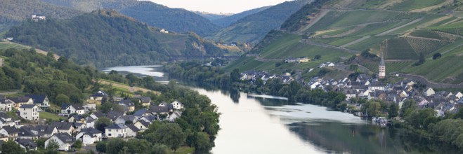 Zell an der Moselle, Merl Mosel district, Cochem-Zell district, Rhineland-Palatinate, Germany,