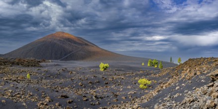 Chinyero volcano, Arena Negras zone, Teide National Park, Tenerife, Canary Islands, Spain, Europe