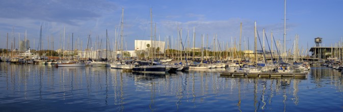 Marina, Port Vell, at the harbour, sailing boats, Barcelona, Catalonia, Spain, Europe