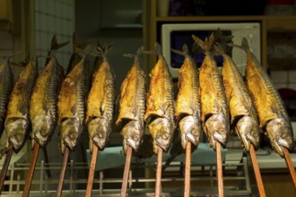 Grilled mackerel on sticks at a stand with golden colour and traditional atmosphere, Kitchen,