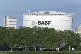 BASF, Lugwigshafen am Rhein, industrial area, Mannheim, Baden-Württemberg, Germany, Europe