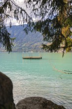 Wooden platform floating on azure blue lake, framed by trees, Lake Brienz, Switzerland, Europe