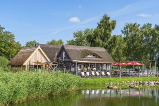 Restaurant and thatched houses in Krummin natural harbour, Krumminer Wiek on the Peenestrom, Usedom