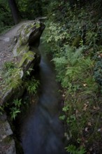 Hiking trail, Maiser Waalweg, stream, long exposure, Schenna, Scena, South Tyrol, Autonomous