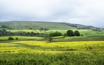 Farms over North Pennines, Cumbria, Durham, Northumberland, North Yorkshire, England, United