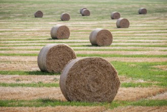 Straw bales on a harvested field near Gotha, Thuringia, Germany, Europe