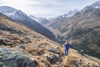 Hiker on hiking trail, snow-covered mountains, Ötztal, Tyrol, Austria, Europe