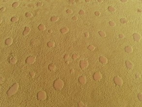 Fairy circles in the Giribisvlakte, aerial view, near Tomakas, Kaokoveld, Kunene Region, Namibia,