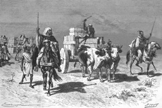 Transport by oxcart through the desert in Morocco, Historical, digitally restored reproduction from