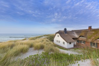 House with thatched roof in the dunes at Ahrenshoop on the Fischland-Darß-Zingst peninsula along