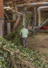 Hop processing Hallertau Bavaria Germany