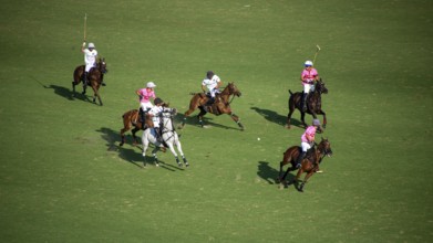 Scene from the 131st Argentine Open Polo Championship (Spanish: Campeonato Argentino Abierto de