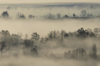 Foggy mood, fog, morning light, backlight, church tower, autumn, Loisach-Lake Kochel moor, view of