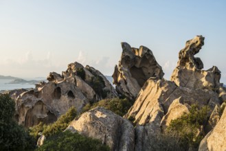 Bizarre granite rocks, Roccia dell Orso, sunset, Capo d'Orso, Palau, Costa Smeralda, Sardinia,