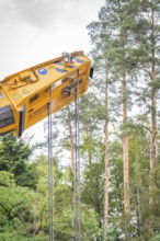 Yellow crane arm with ropes in front of a background of tall trees and sky, track construction,