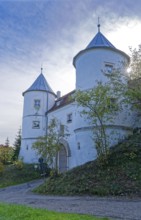 Wörth Castle in Wörth an der Donau, Bavaria, Germany, Europe