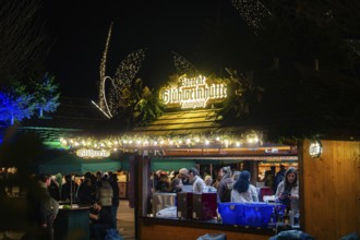 A lively Christmas market stall at night with festive lights and people, Christmas market