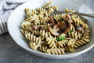 Fusilli pasta, in creamy mushroom sauce, pasta with mushrooms, homemade, no people