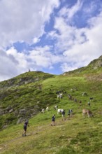 Participant of a trail run in Pitztal, Tyrol, Austria, Europe