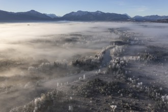 Aerial view of a moor landscape with river in front of mountains in winter, hoarfrost, morning