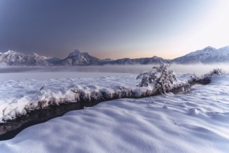 Shortly after sunset, twilight at Lake Hopfensee in the Allgäu in Bavaria in a winter landscape,