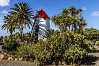 2016, Tiagua, Lanzarote, Farm Museum El Patio, Tiagua, ESP, Spain, Canary Islands, Canary Islands,