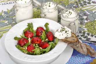 Swabian cuisine, Luggeles cheese in a jar, salad rocket with strawberries, pine nuts, Swabian cream